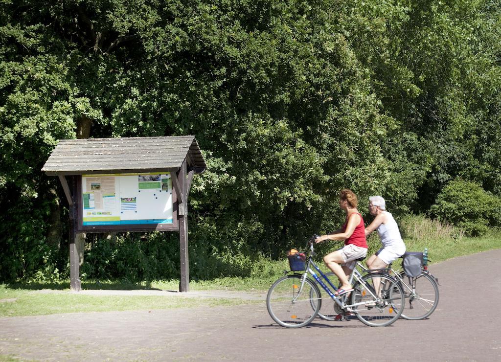 Bungalows - Bungalowpark Mooyeveld - Uniek Gelegen In De Duinen! Егмонд-Біннен Екстер'єр фото